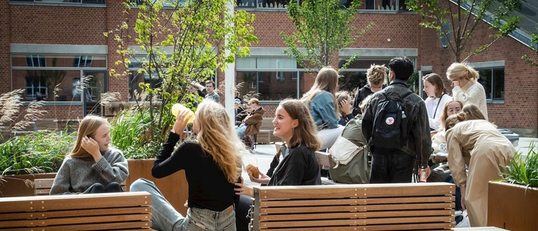 Socialiseringsudvalg
