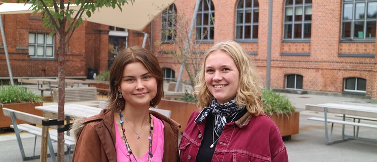 Kirstine Friholt Lauritzens Corona-essay