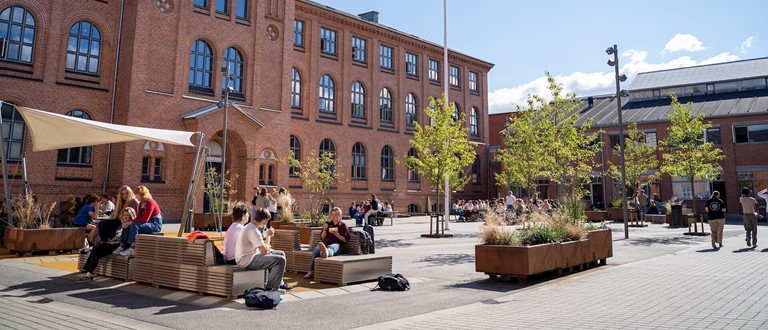 Studievalg Danmark