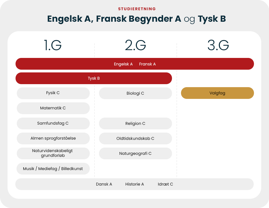 Engelsk A, Fransk Begynder A Og Tysk B | Aalborg Katedralskole