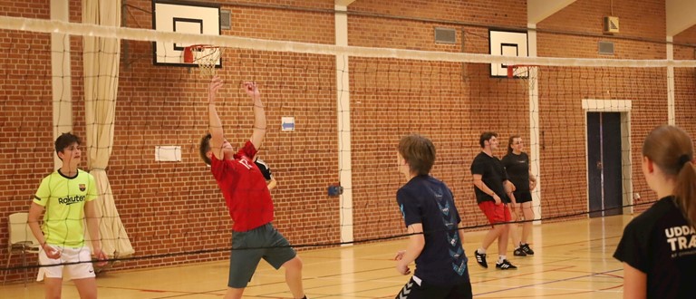 Volley
