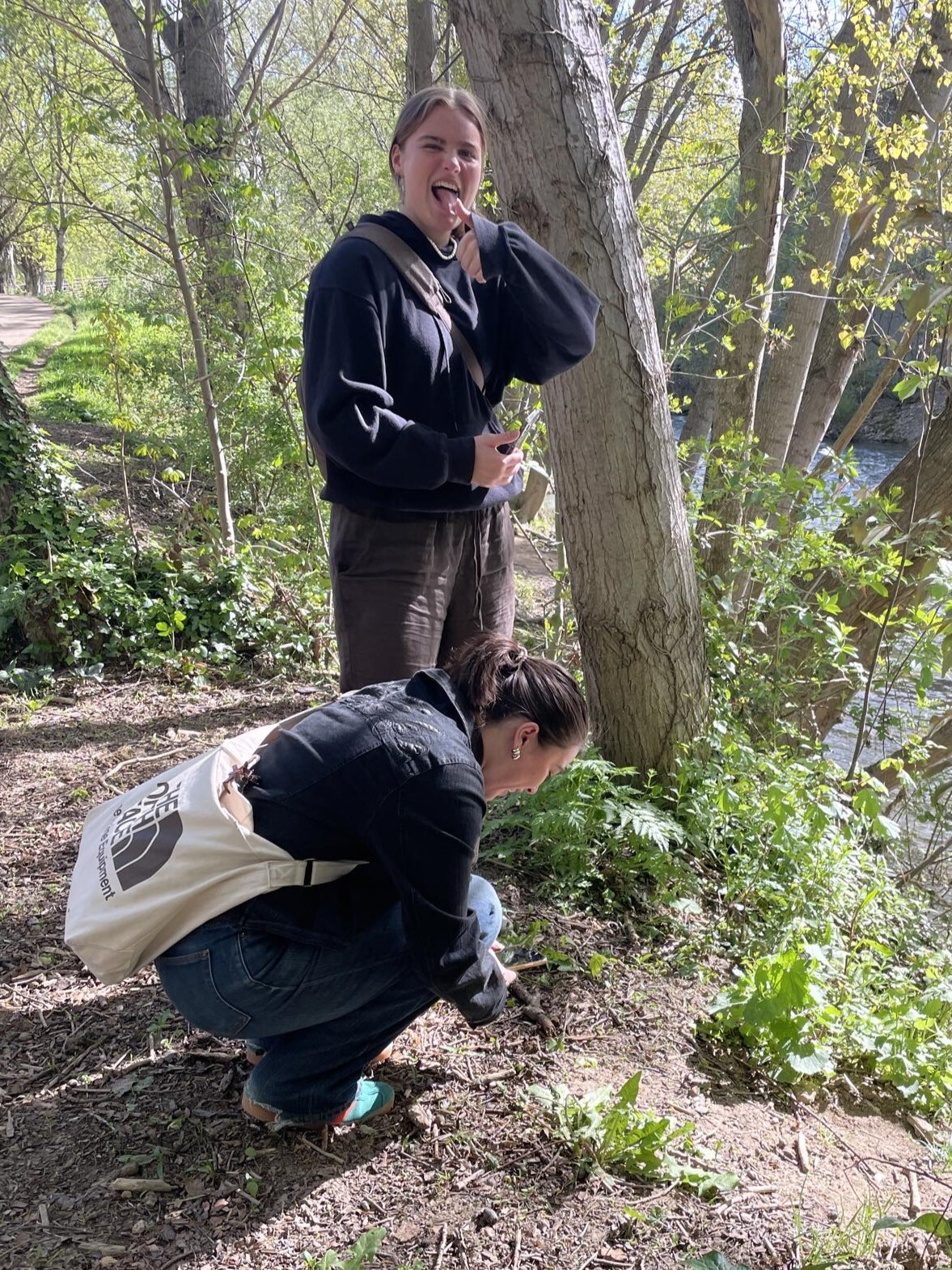 C1064ef4 B0f1 4B41 B284 A9961088f78f