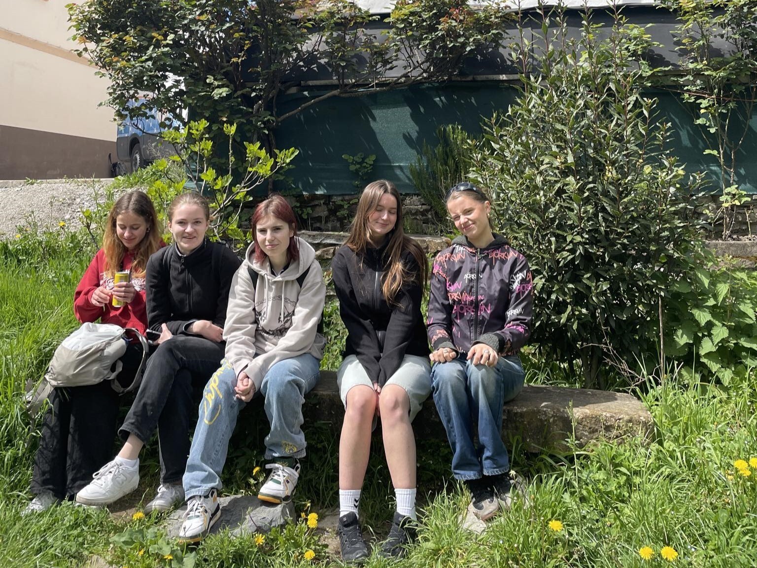 F0c21507 Ad81 4B05 Bec0 7C286e3df3d0