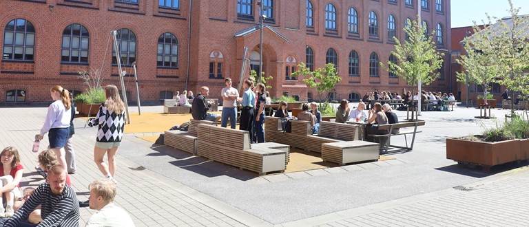 Årsskrift 2025