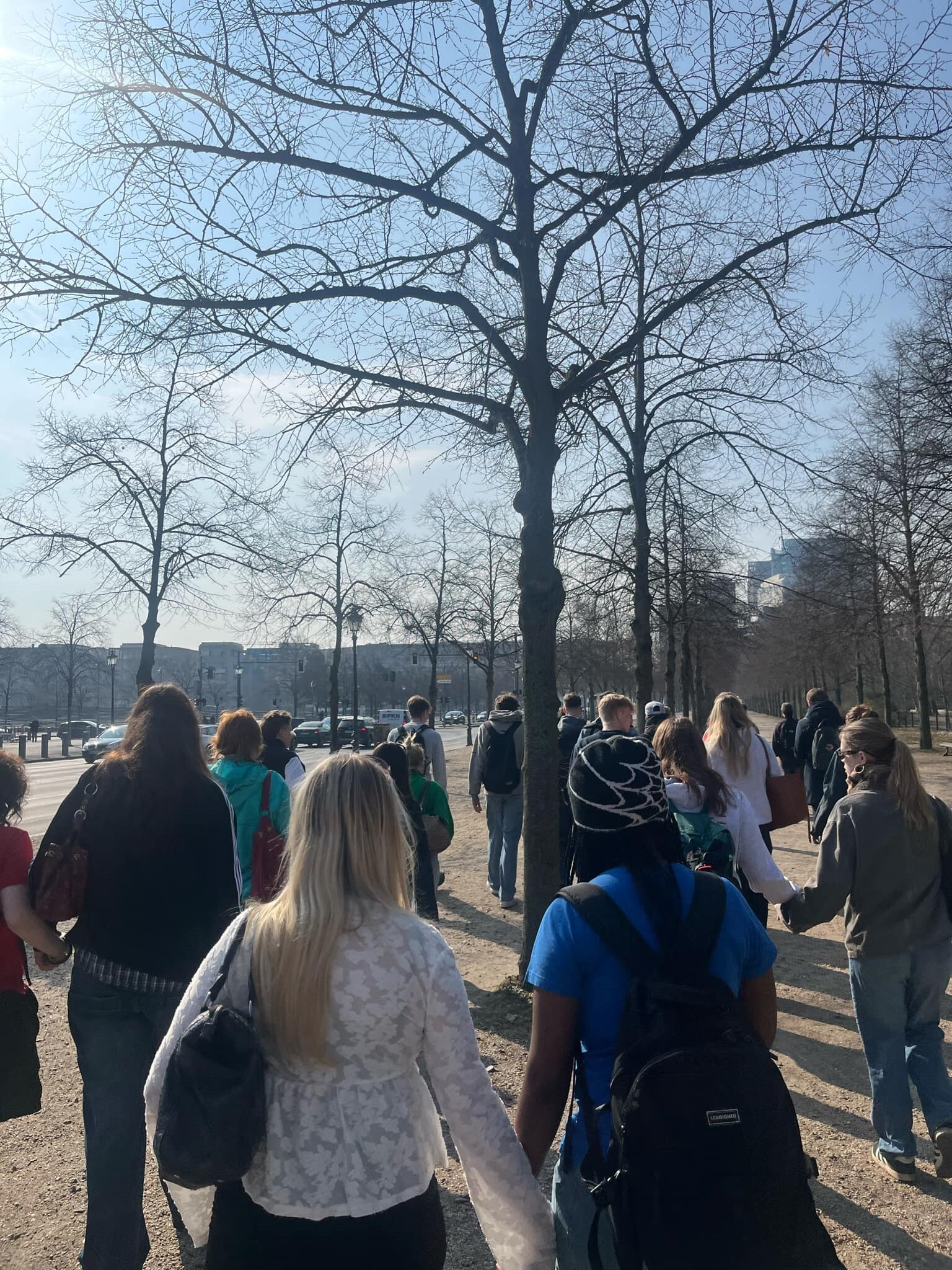 9Ed8e6e0 E9a8 48D8 Ae3a D4596a749b53