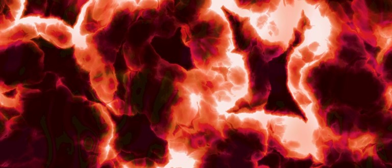 Gratis foredrag: Styrk dit tarmmikrobiom og hold dig rask