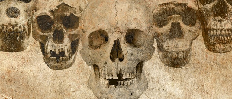 Gratis foredrag: DNA og fossiler udvider vores stamtræ