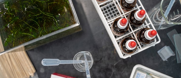 Biologiolympiade