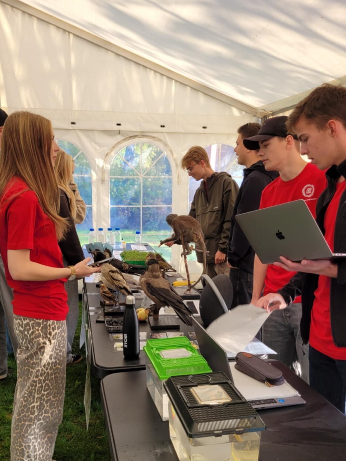 2B71978f 5Bf3 4D4d A845 0E8ce3eeeb55