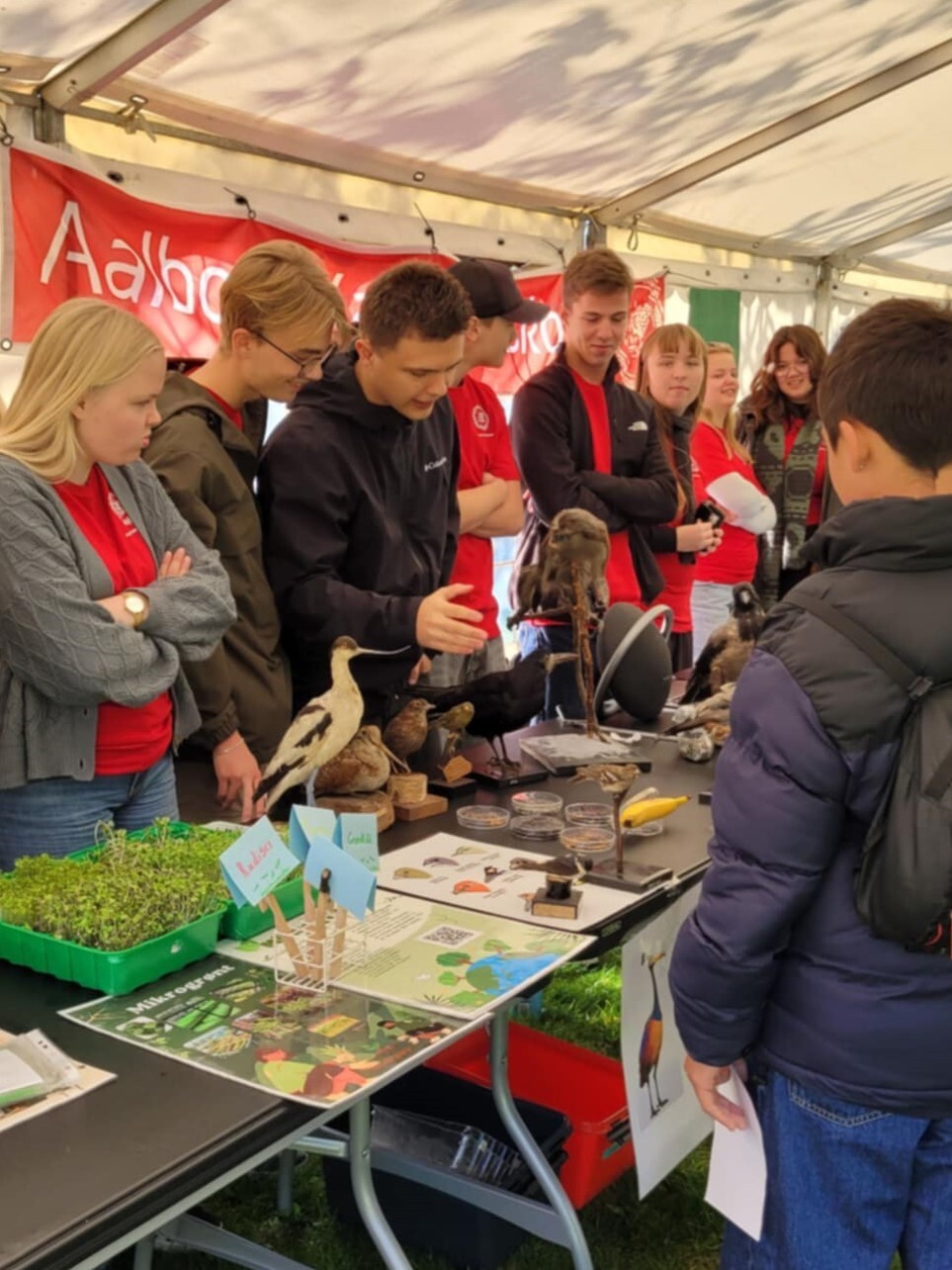 10D23c1c 9B4f 4C70 873F 635De03eb234