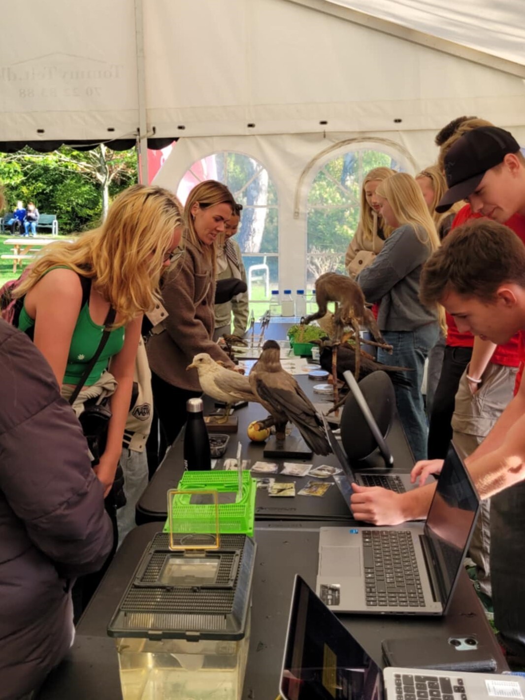 Af1bd71b 7D28 4356 8Cb1 6415F5267bfd